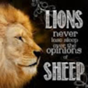 Meet your Posher, Patrick